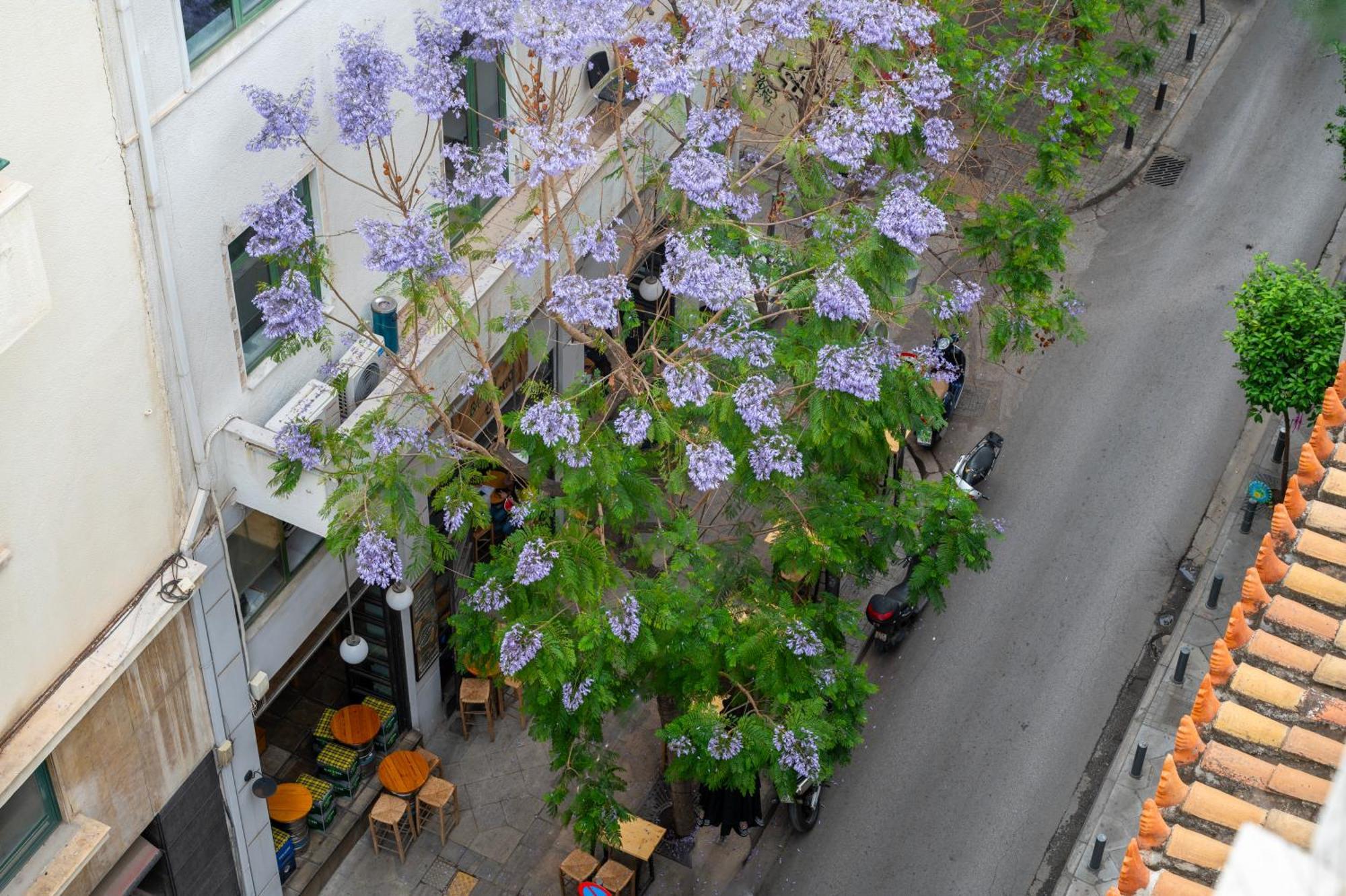 Hotel Hestia - Kolokotroni 23 Atene Esterno foto